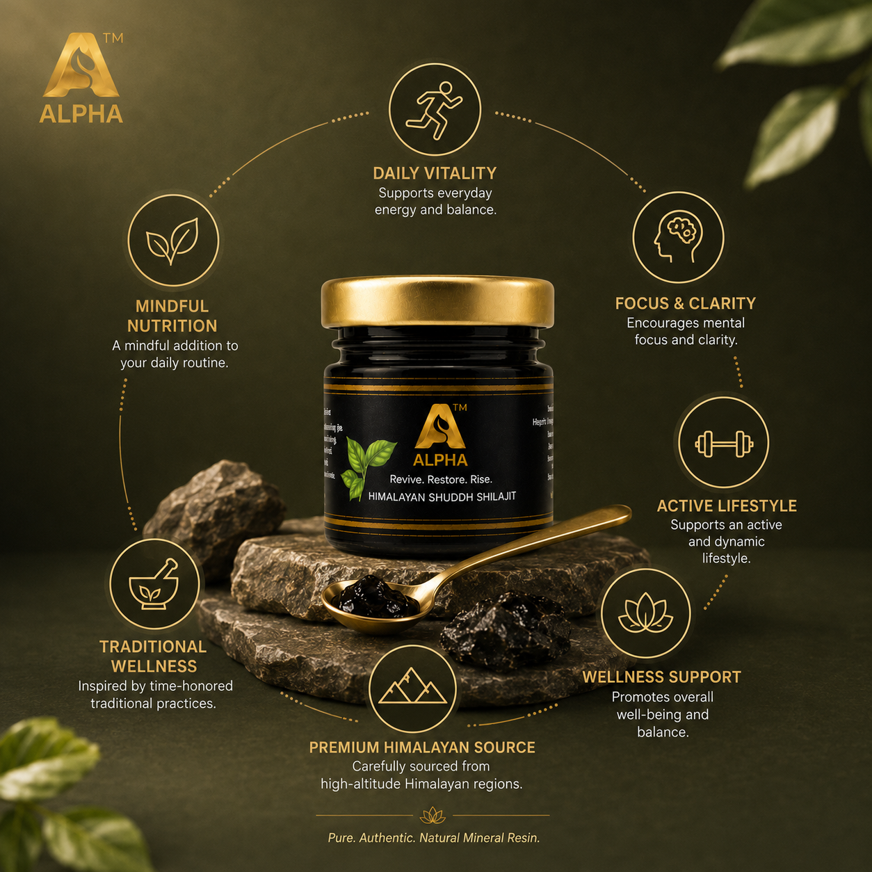 Shuddh Himalayan Shilajit Resin